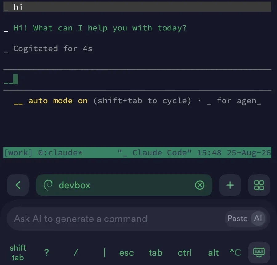 Claude Code running inside a tmux session, from the phone over 4G