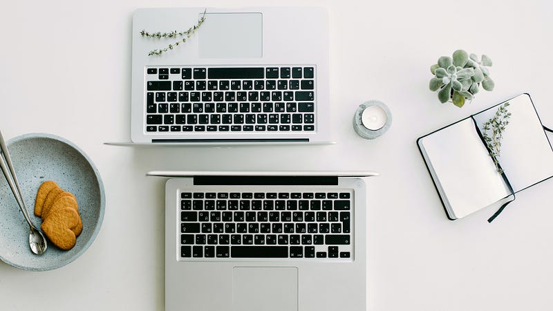 The Many Paths of Web Development